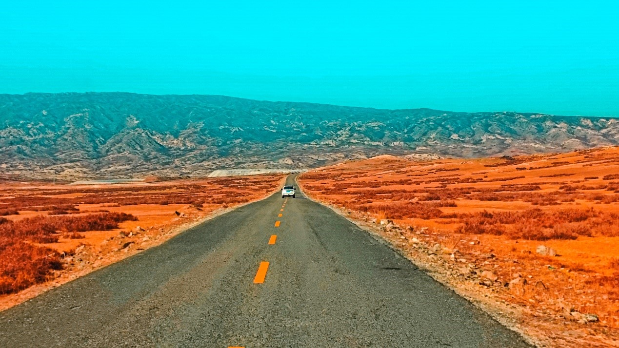 39.jpg